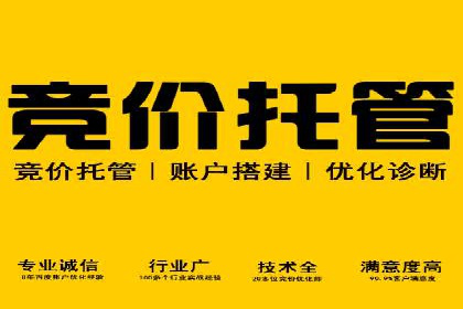 谷歌SEM实战案例：跨境电商广告投放技巧